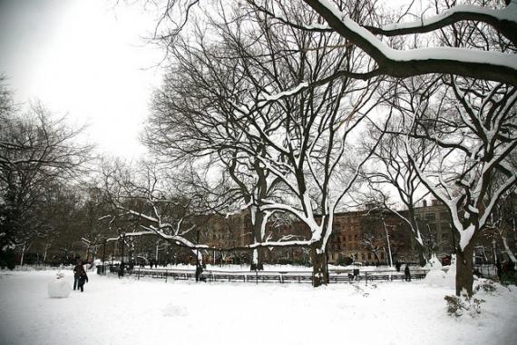 'New York City, Manhattan, East Village, Tompkins Square Park' - Νέα Υόρκη